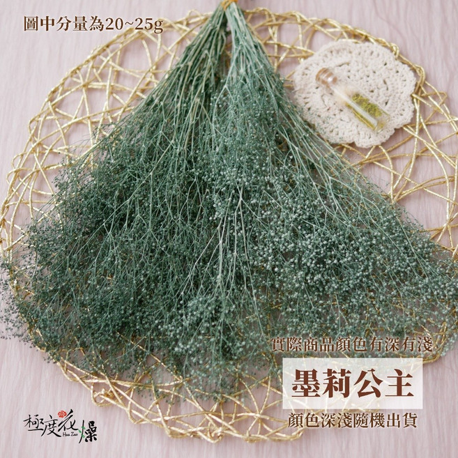 大地農園 永生滿天星 單色花材, 墨莉公主,單色墨綠,1克