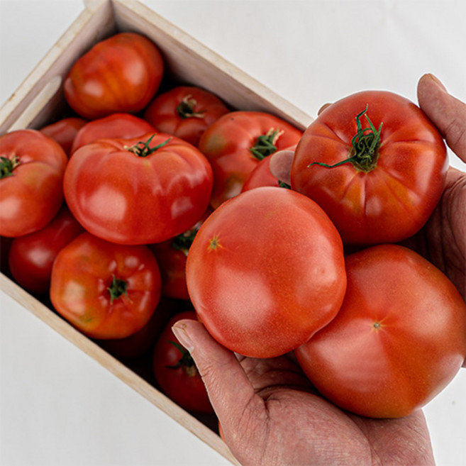 무농약 퇴촌토마토 완숙토마토 컬러대추방울토마토, 1박스, 4kg, 3색 대추방울토마토 4kg(혼합)