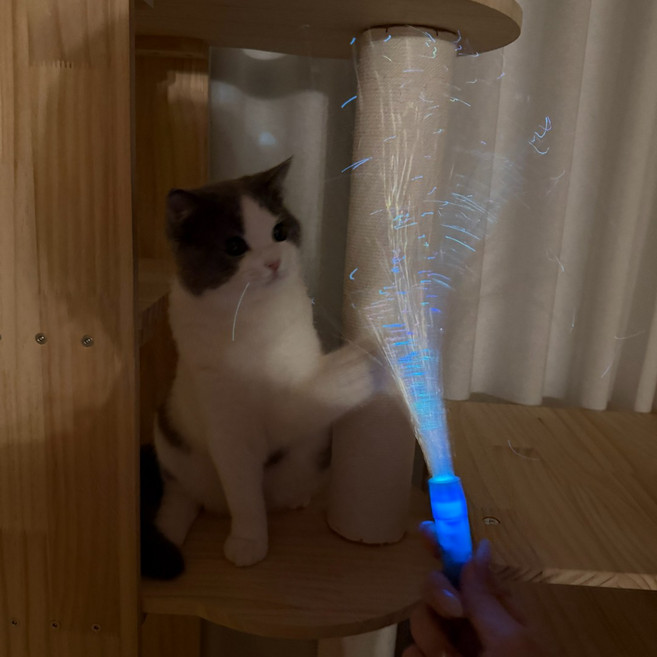 고양이 광섬유 스파클 낚싯대 장난감 CB-59, 1개, 블루