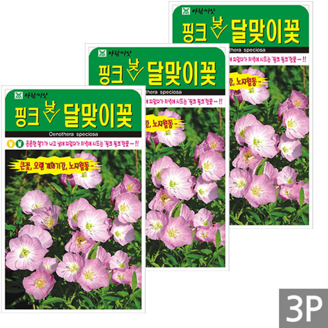 세인화분 핑크 낮달맞이꽃 500립 - 달맞이꽃 분홍 야생화 들꽃 꽃 씨 씨앗, 3개