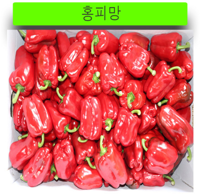 (가락시장까망콩) 경매 단단하고 신선한 영업용 못난이 홍피망 10kg, 1개