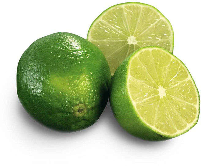 라라로코 프리미엄 생라임, 10개, 중과 85g 내외