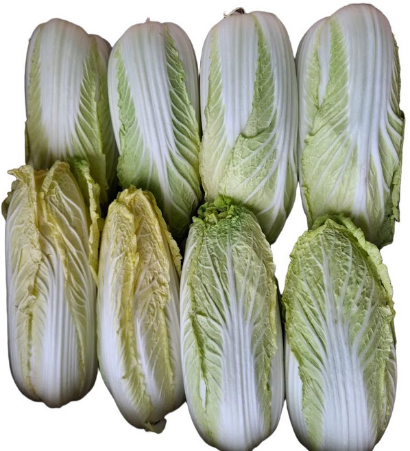 국내산 알배기 쌈배추 실속형 쌈배추 (12-16포기), 2kg, 1개