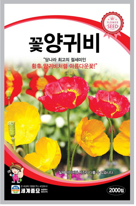 모칸도 꽃양귀비 씨앗 2000립 세계종묘 꽃씨 꽃씨앗, 1개
