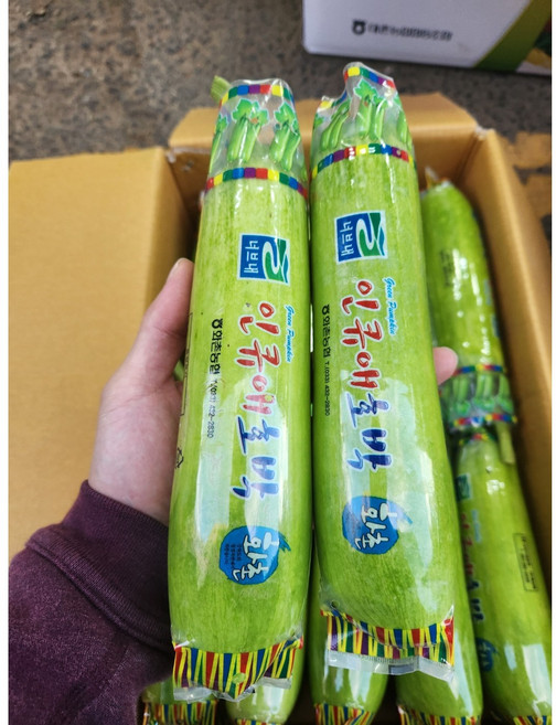 국내산 애호박 인큐애호박, 1개, 애호박 3개입