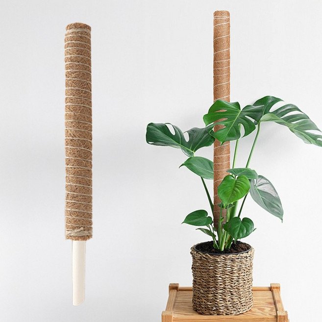 랩앤툴스 코코넛 수태봉 화분지지대 지주대 50cm, 4개