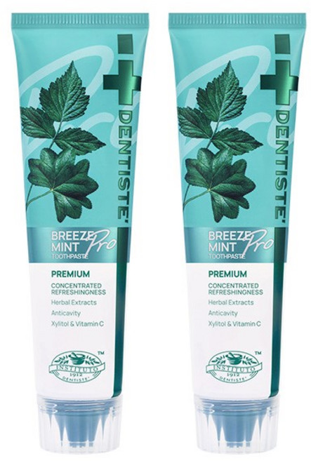 [공식몰] 덴티스테 브리즈민트 프로 여행용 치약 60g, 2개