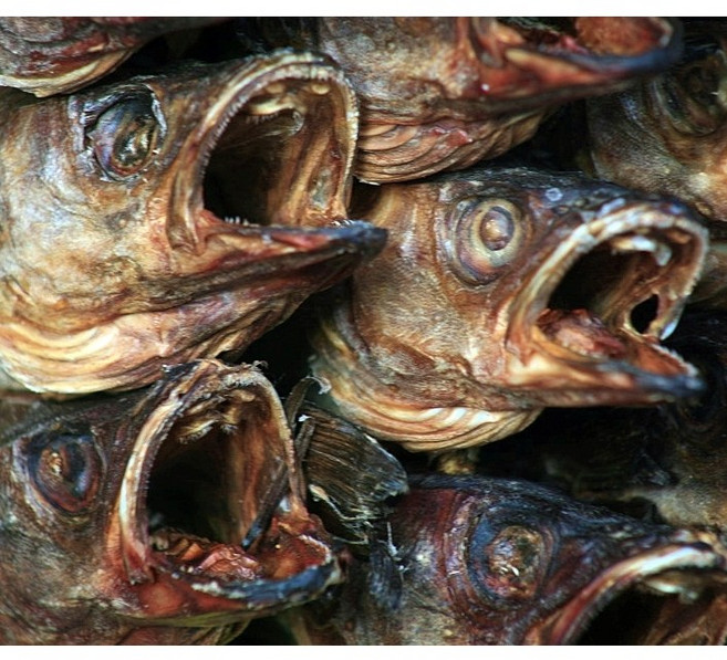 [자연말하다] 국물용 북어머리 1Kg, 1개