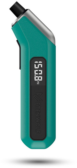 ETENWOLF T300 디지털 타이어 압력 게이지 3 200 PSI ANSI B40 7 등급 2A 산업용 3A 배터리에 맞게 보정됨, blue, 1개
