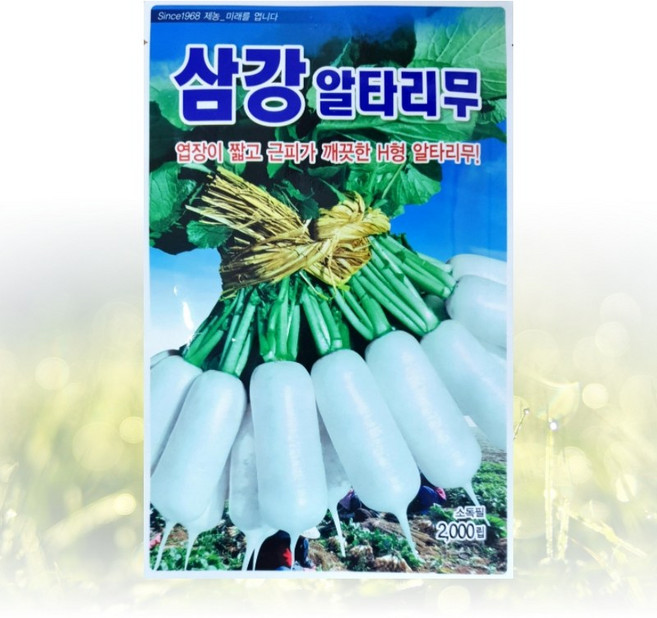 농사친구 삼강 알타리 무 2000립 씨앗 제농 씨 종자 김장 쪽파 고사리 항암 배추, 1개