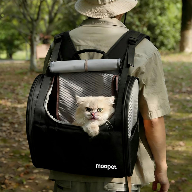 Surkat 3in1 다용도 강아지이동가방 대용량 반려동물 고양이 강아지가방 백팩, 1개, 블랙