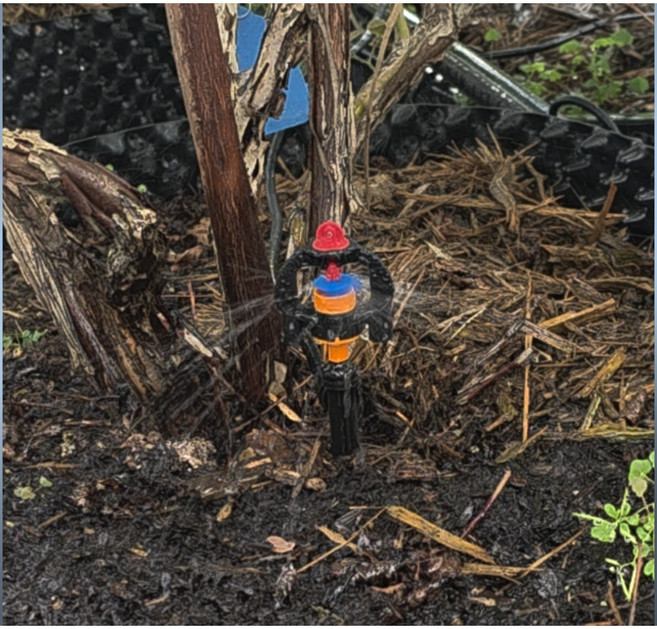 SP6 오렌지 화분용 관수스틱, 1개