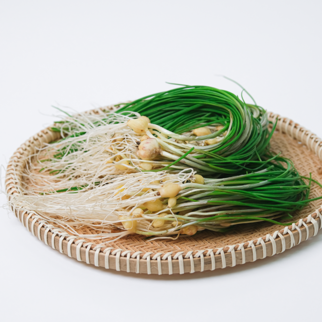 국내산 제철 달래 봄을 알리는 향긋함, 1개, 100g