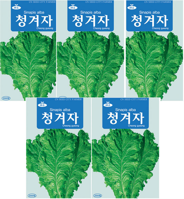 모두다 채소씨앗 청겨자씨앗(2000립), 5개