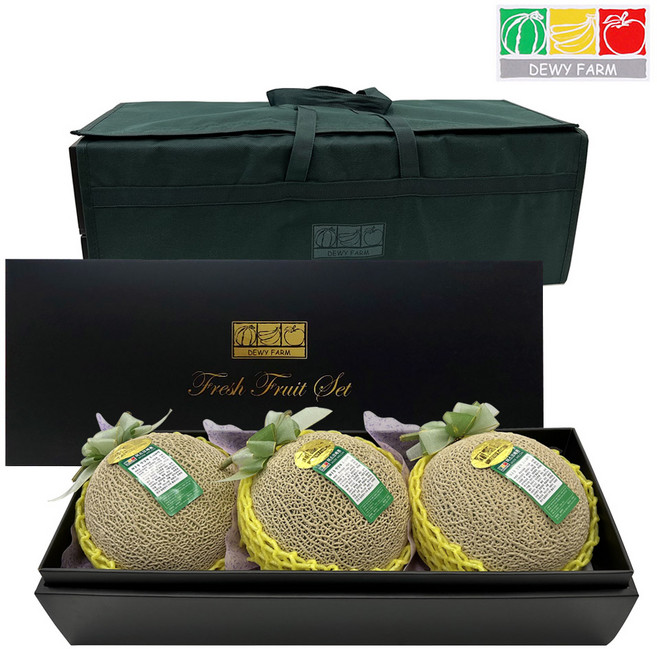 [델피아] 과일 선물세트 국내산 머스크메론 (3입 4.5Kg 내외), 1개
