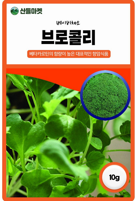 다농 베이비브로콜리 씨앗 10g 베이비 브로콜리씨 종자, 1개
