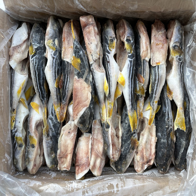 힘찬푸드 냉동 손질복어 유독제거 업소용, 1박스, 15kg(500/700 30마리전후)