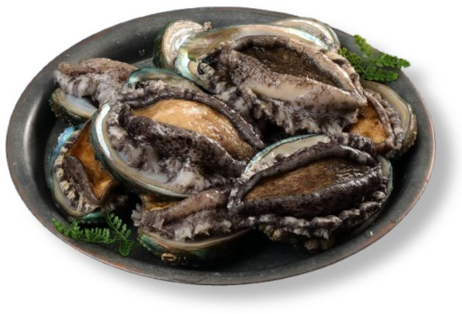 [꼬복상회] 완도 활전복 1kg 사이즈별 다양 당일조업 왕특대 사이즈까지 선물용, 1개, 활전복11-12미