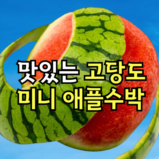 [50박스한정] 김재식농원 꿀즙뚝뚝 고당도 애플수박, 1박스, 1통