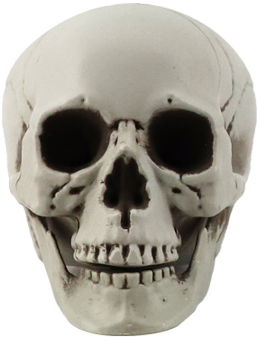두개골 해골 모형 3호 (11X9X8.5cm), 단품, 단품