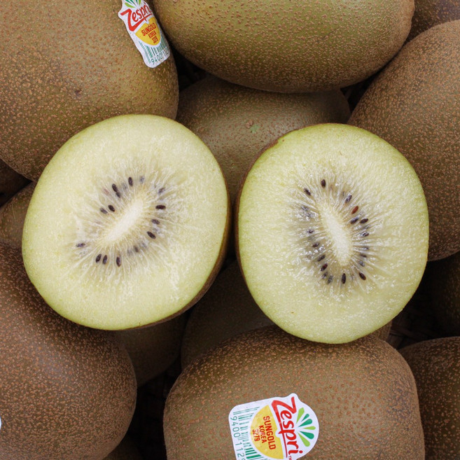 꿀키위 제스프리 골드키위 점보과 1.2kg, 1개, 5.7kg내외(37-41입_