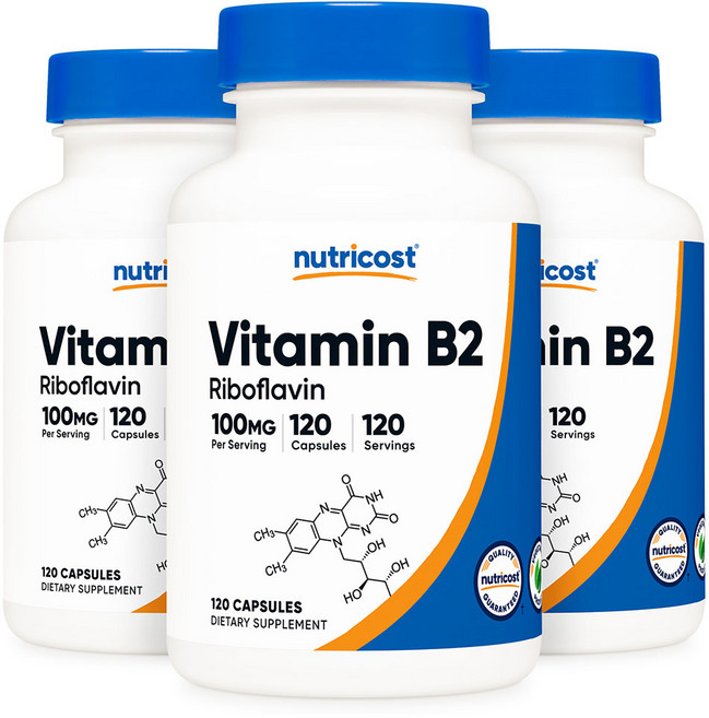 뉴트리코스트 비타민 B2 리보플라빈 100mg 120캡슐, 3개, 120정