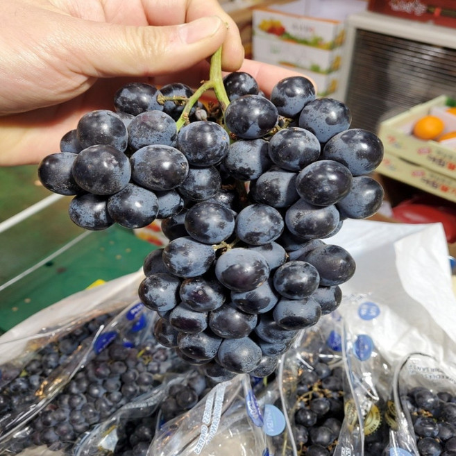 [타임특가] 금메달농수산 블랙세이블 블랙포도, 1개, 1kg (정품)