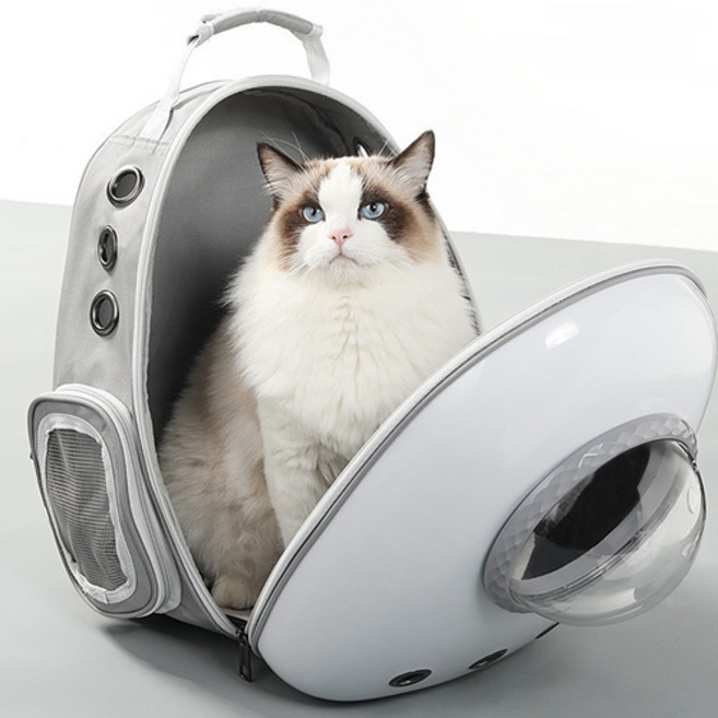 반려동물 투명 우주선 백팩, 1개, 화이트-그레이