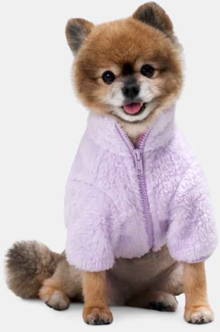 네오핏 강아지 파스텔 후리스, 퍼플, 1개