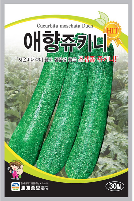 아시아종묘 스타올 쥬키니 호박 씨앗 70p, 1개