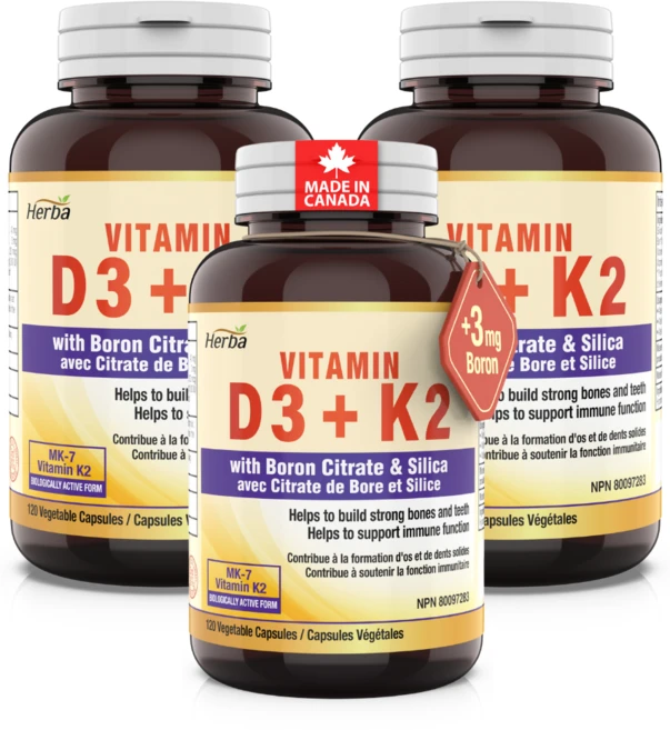 비타민K2 D3 MK-7 120식물성캡슐 1000IU 120mcg 메나퀴논-7 보론 실리카 포함 허바 캐나다, 120정, 3개 - 쿠팡