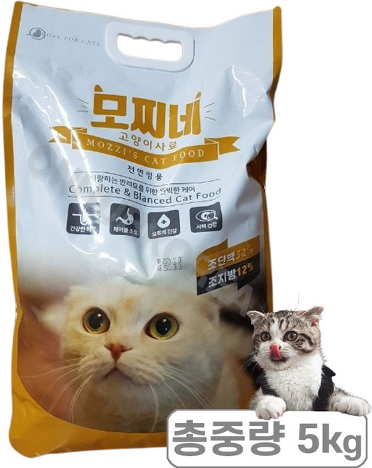 모찌네 전연령용 고양이 건식사료, 닭, 5kg, 1개