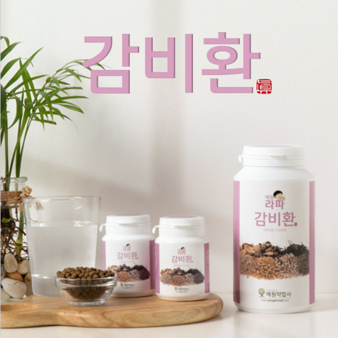 감비환(460g)1통 + (90g)2통, 460g, 1개