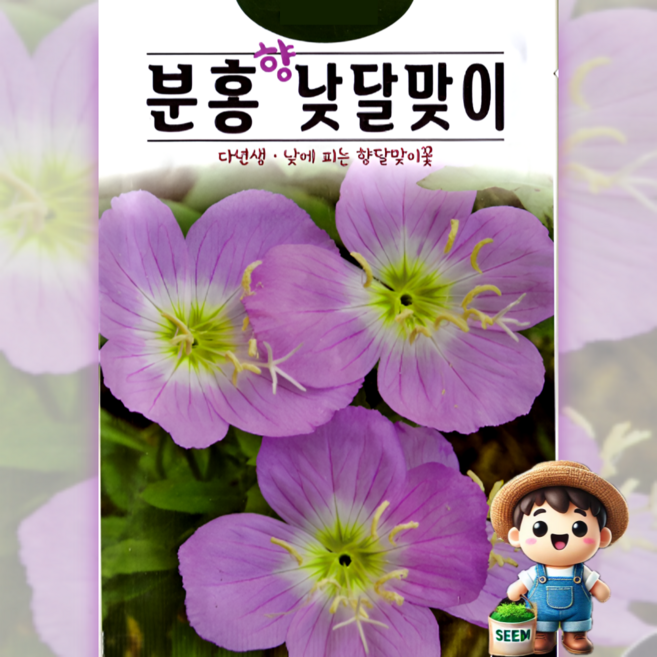 KS종묘 분홍향낮달맞이꽃 400립 향달맞이꽃 다년생 허브 꽃씨 씨앗 종자, 1개