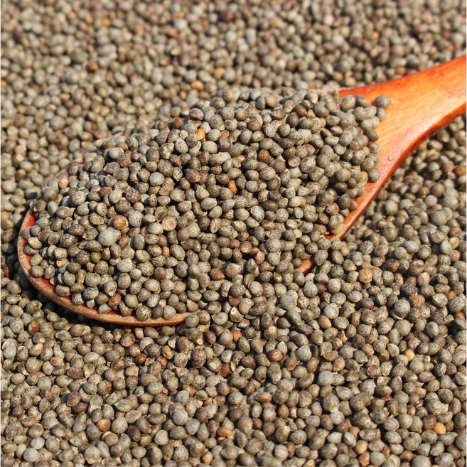 국산 햇 생들깨 통들깨 1kg, 1개