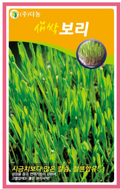 (DN) 새싹 보리 씨앗(12g), 1개