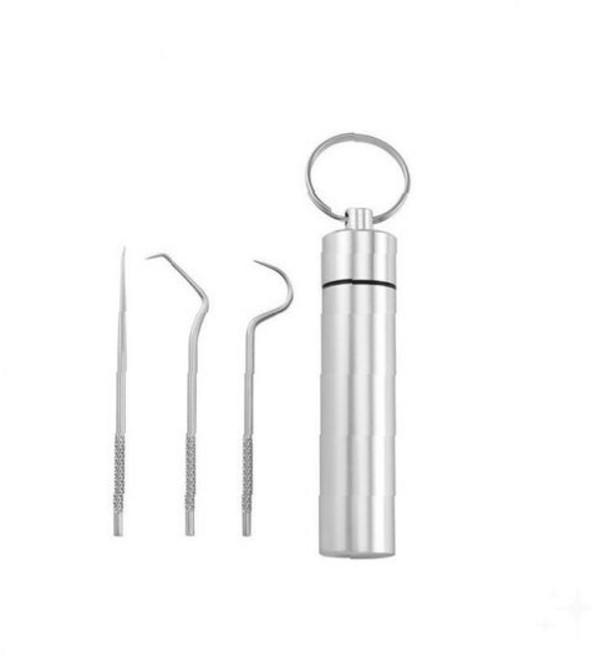 제거 위생 케이스 스테인리스 3p 도구 구강 치석 치과용 포함 휴대 관리 여행용, 1개