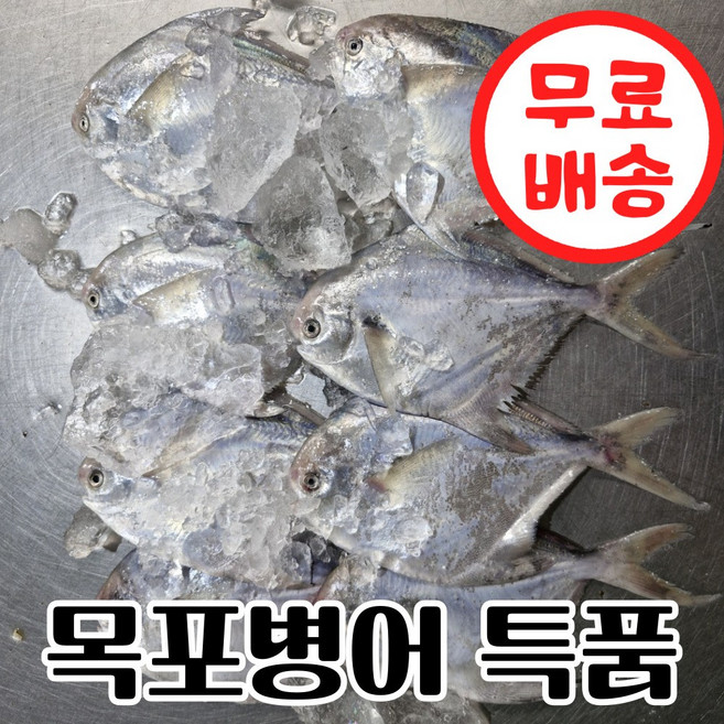 [통영직송] 국내산 급냉 병어 특품, 1박스, 2kg(16미내외)