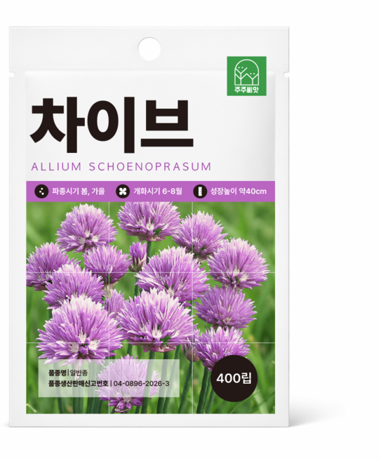 주주씨앗 차이브 씨앗 400립 챠이브 향신료 허브씨 종자 씨앗몰, 1개