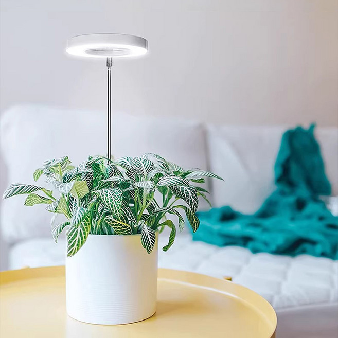 사는잼 LED 이젤라 식물 생장촉진 생장등 3가지 모드 타이머, 1개