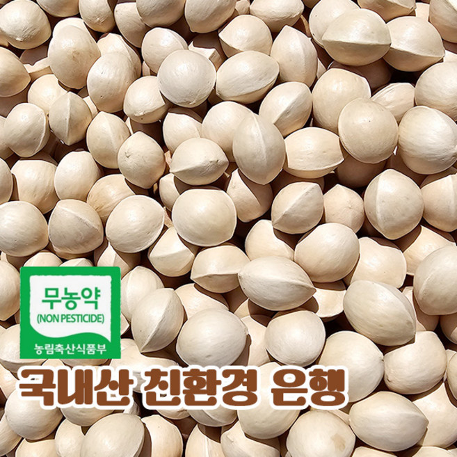 국산 피은행 중, 1개, 1kg