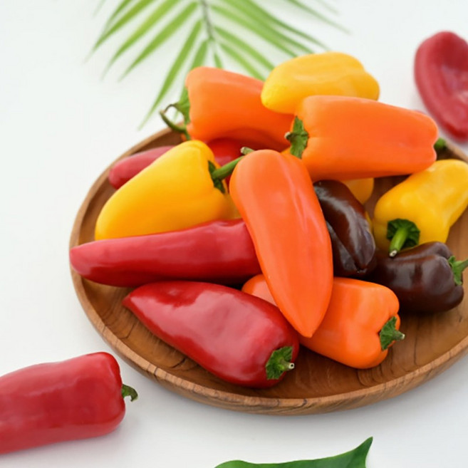 국내산 미니 파프리카, 4개, 250g