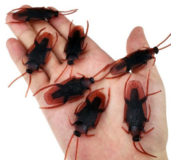 웃긴소품 가짜 바퀴벌레 리얼 모형 장난감 엽기 선물