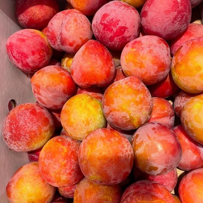 대왕자두 초고당도 자두, 1박스, 1kg(중소과)