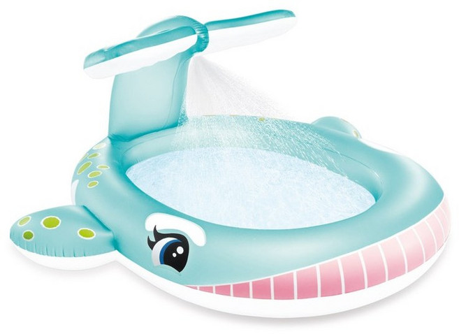 인텍스 공룡랜드 미끄럼 풀장, C.돌고래 분수 풀장, 1