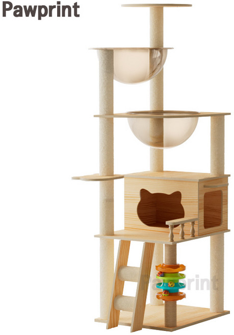 Pawprint 원목 캣타워 대형 소형 고양이 캣타워 우주선 아크릴 투명 캣하우스 다기능 고양이 놀이 공간 다묘가정 초보집사 먼치킨 성인묘 거실 원룸 실내용 다양한 고양이 활동에, 1개