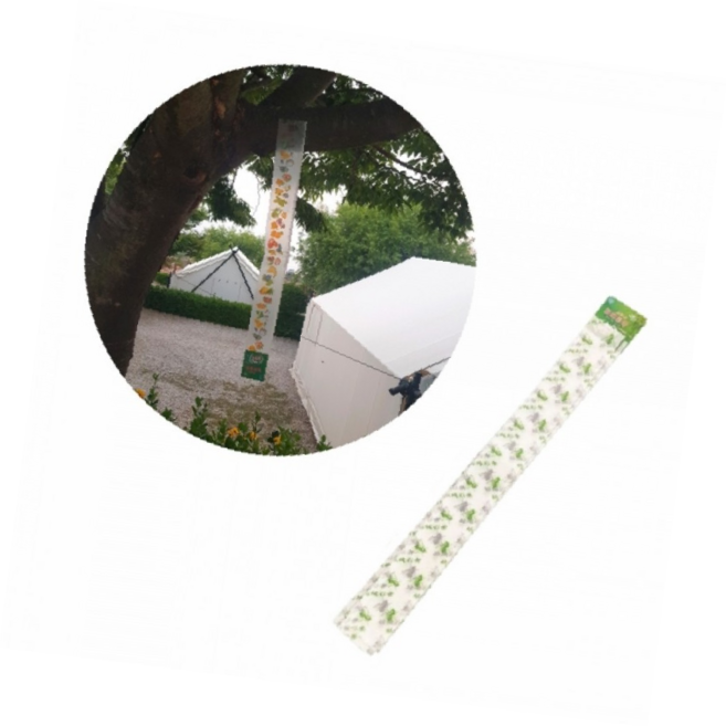 바퀴벌레 트랩 해충 퇴치 끈끈이 강력 접착 포획 기 5매 1+1, 1개, 1ml