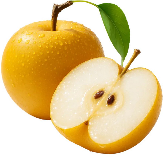 농장직송 아삭 달콤한 햇 나주배, 1개, 중 5kg(선물용)