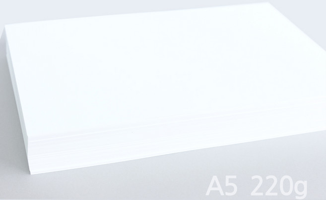 인터퍼시픽 A5 종이 용지 두꺼운 모조지 미색, A5 220백색, 250개