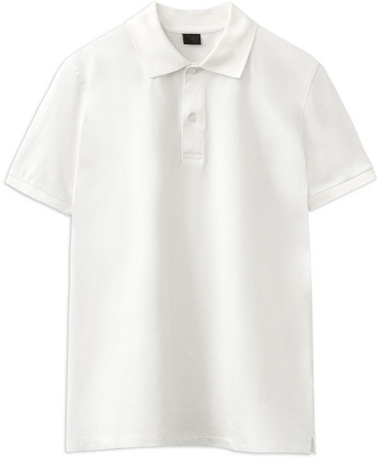 스탠다드 코튼 카라 반팔 티셔츠 (JW629)